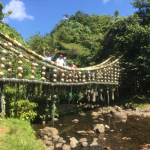 Unterwegs auf der Cocos Insel