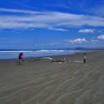 E-Biken in Costa Rica